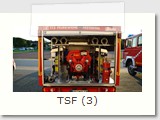 TSF (3)